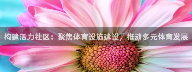 意昂体育4平台注册要钱吗是真的吗：构建活力社区：聚焦