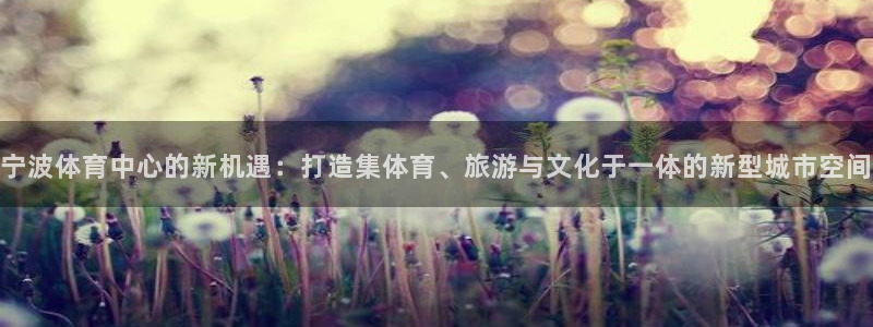 意昂4科技：宁波体育中心的新机遇：打造集体育、旅游与文化于一