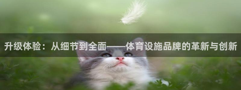 意昂体育4招商电话地址：升级体验：从细节到全面——体