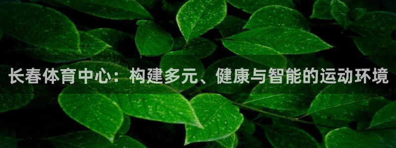 意昂4科技：长春体育中心：构建多元、健康与智能的运动
