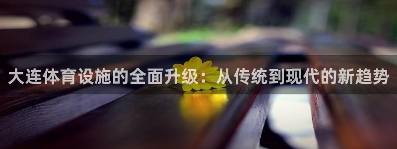 意昂4官方：大连体育设施的全面升级：从传统到现代的新