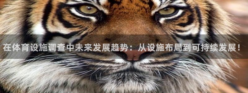意昂4集团简介：在体育设施调查中未来发展趋势：从设施