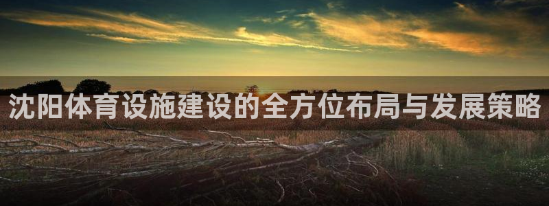 意昂4娱乐代理怎么样：沈阳体育设施建设的全方位布局与