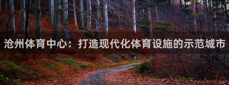意昂4娱乐网站：沧州体育中心：打造现代化体育设施的示范城市