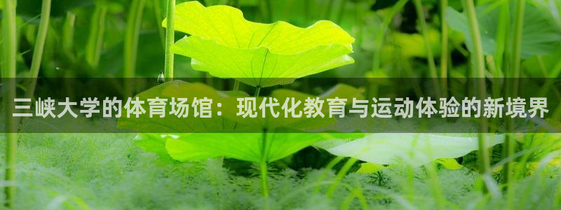 意昂4娱乐代理怎么样：三峡大学的体育场馆：现代化教育与运动体