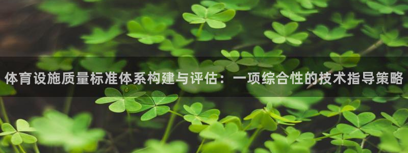 意昂体育4注册：体育设施质量标准体系构建与评估：一项