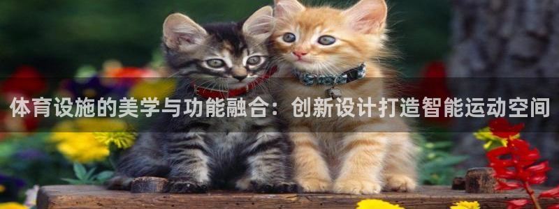 意昂4集团：体育设施的美学与功能融合：创新设计打造智能运动空