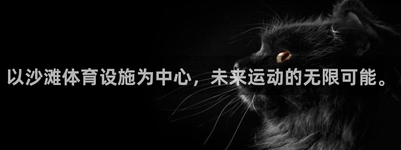 意昂4集团官网网址：以沙滩体育设施为中心，未来运动的无限可能