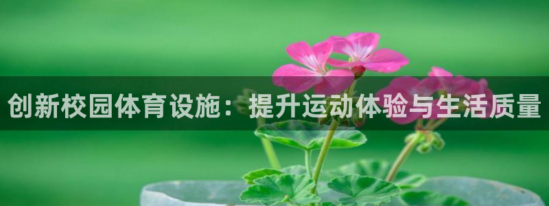 意昂4娱乐首页网站大全：创新校园体育设施：提升运动体验与生活