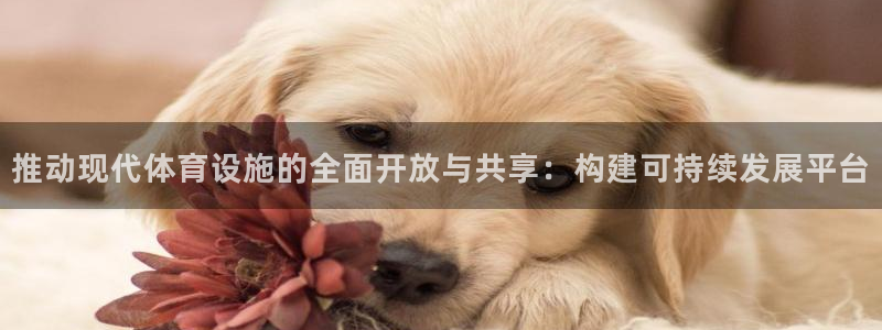 意昂体育4平台注册流程图：推动现代体育设施的全面开放与共享：