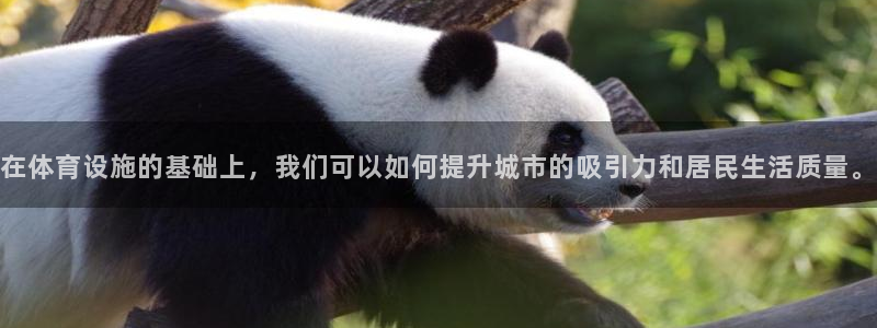意昂4神州：在体育设施的基础上，我们可以如何提升城市的吸引力 