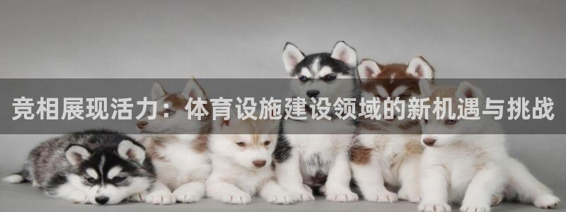 意昂4官方：竞相展现活力：体育设施建设领域的新机遇与