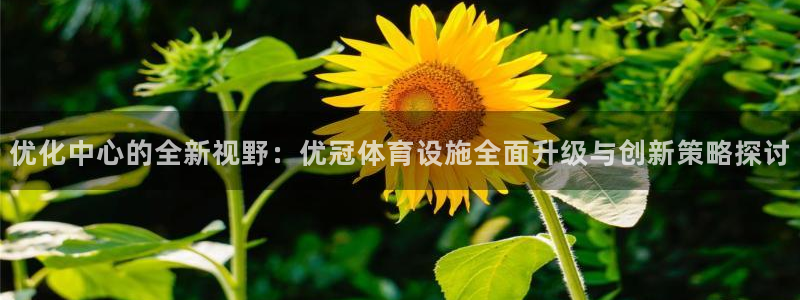 意昂4娱乐是那个系列的台子