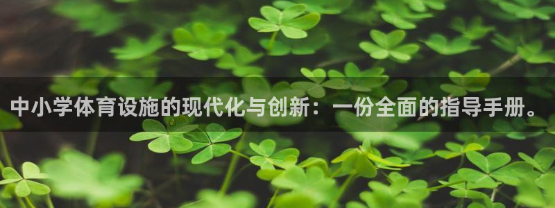 意昂体育4平台：中小学体育设施的现代化与创新：一份全