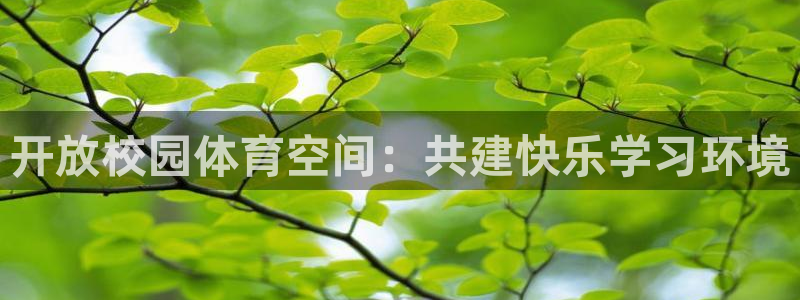 意昂4娱乐是那个系列的台子