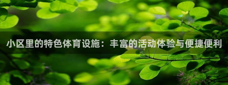 意昂体育4平台：小区里的特色体育设施：丰富的活动体验