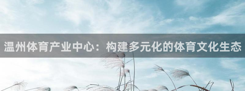 意昂体育4开户：温州体育产业中心：构建多元化的体育文