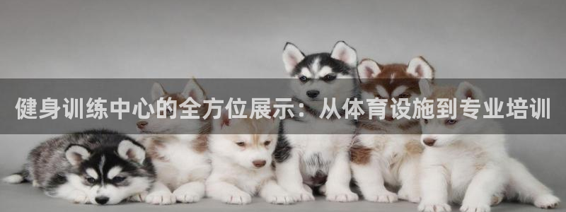 意昂4开户：健身训练中心的全方位展示：从体育设施到专