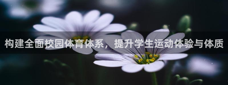 意昂体育4官方客服电话：构建全面校园体育体系，提升学生运动体 