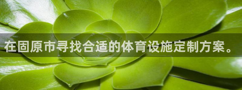德国意昂4集团：在固原市寻找合适的体育设施定制方案。