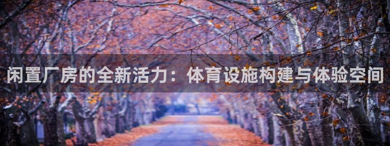 意昂4集团E.ON：闲置厂房的全新活力：体育设施构建与体验空