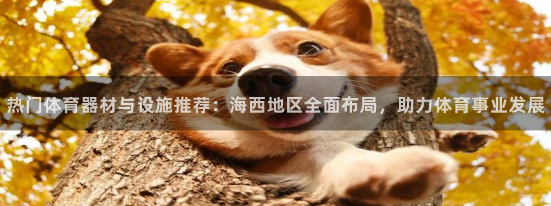 意昂体育4招商电话号码查询：热门体育器材与设施推荐：海西地区