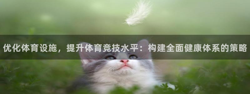 意昂4集团官网首页网址：优化体育设施，提升体育竞技水平：构建