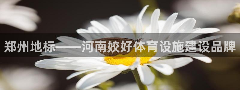 意昂体育4招商电话号码查询：郑州地标——河南姣好体育设施建设