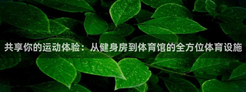 意昂4代理：共享你的运动体验：从健身房到体育馆的全方位体育设