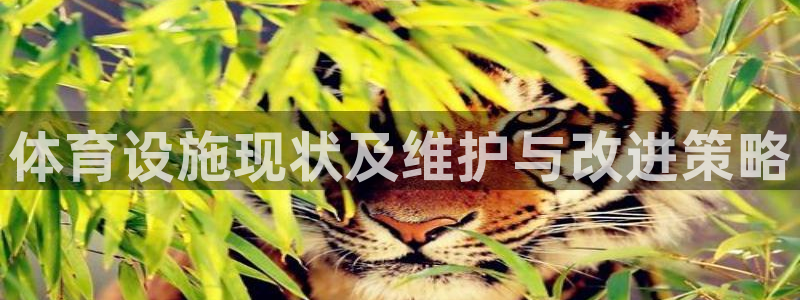 意昂体育4招商电话是多少号码：体育设施现状及维护与改进策略