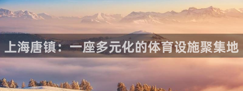 意昂4娱乐40996：上海唐镇：一座多元化的体育设施聚集地