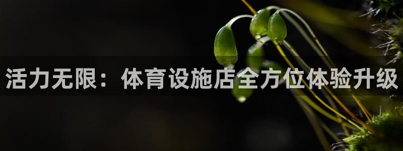意昂4官方：活力无限：体育设施店全方位体验升级