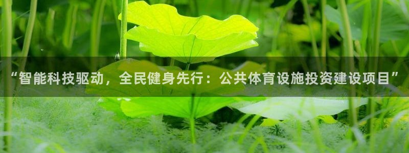 意昂体育4平台假的吗是真的吗吗：“智能科技驱动，全民
