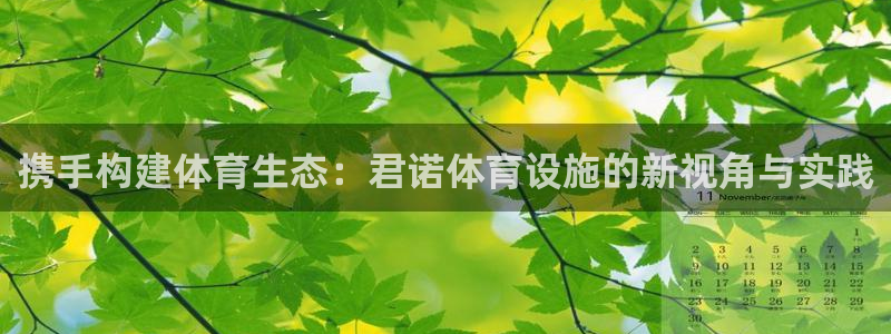 意昂4娱乐网站：携手构建体育生态：君诺体育设施的新视