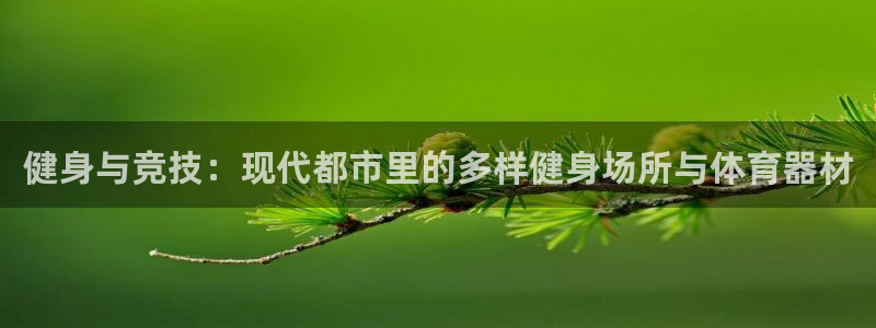 意昂4五金厂：健身与竞技：现代都市里的多样健身场所与