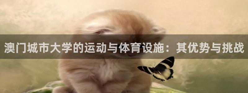 意昂体育4平台注册要钱吗：澳门城市大学的运动与体育设