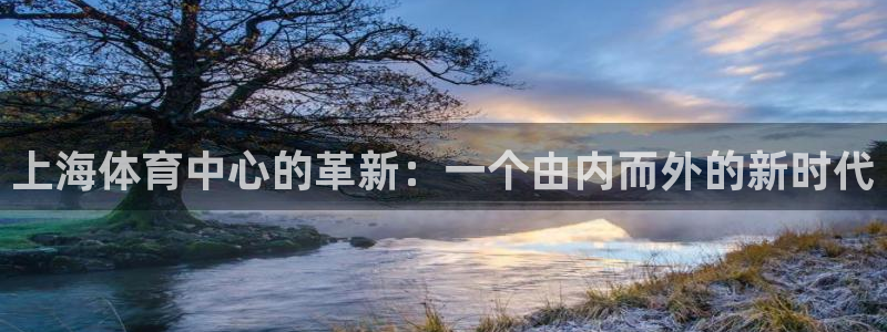 意昂体育4平台注册流程视频：上海体育中心的革新：一个