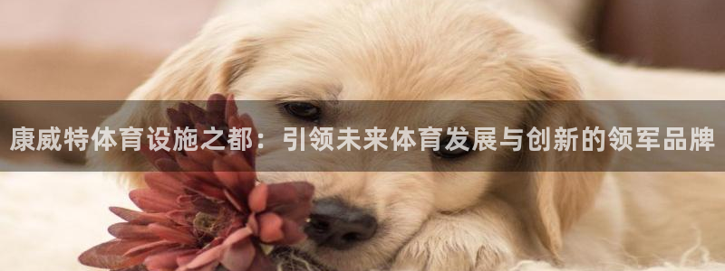 意昂体育4娱乐：康威特体育设施之都：引领未来体育发展与创新的