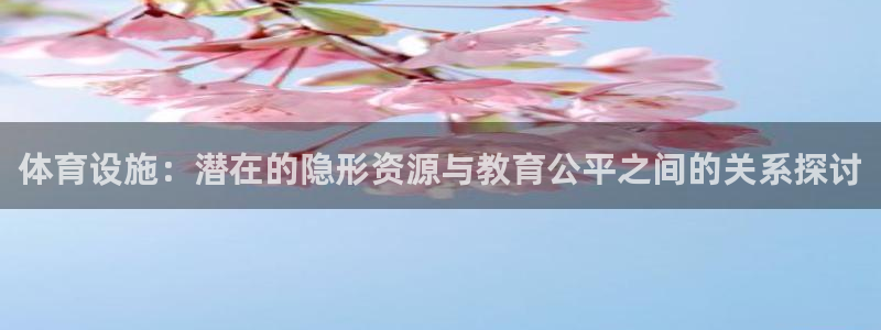 意昂4集团E.ON：体育设施：潜在的隐形资源与教育公