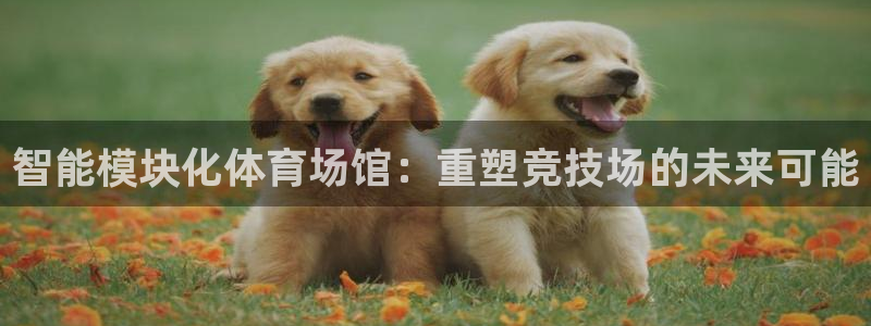 意昂体育4娱乐：智能模块化体育场馆：重塑竞技场的未来可能