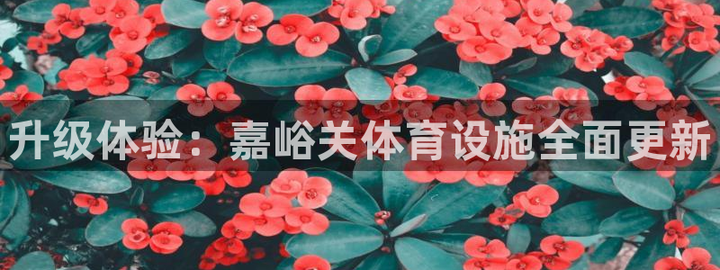 意昂体育4平台APP：升级体验：嘉峪关体育设施全面更新