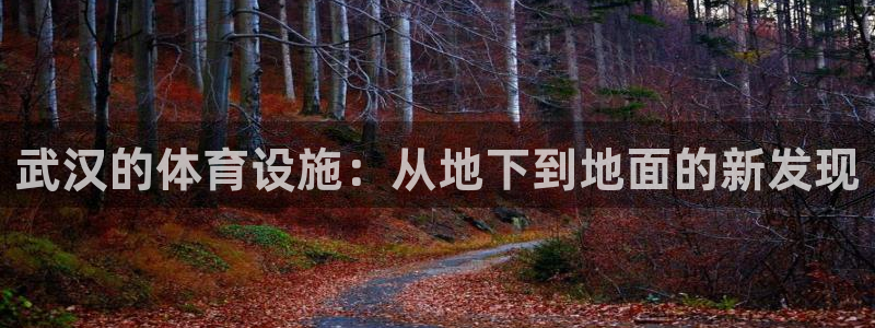 意昂4集团官网首页：武汉的体育设施：从地下到地面的新发现