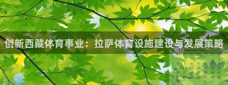 意昂4娱乐代理怎么样：创新西藏体育事业：拉萨体育设施建设与发 