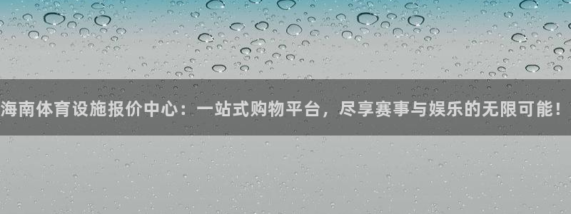 意昂4娱乐平台：海南体育设施报价中心：一站式购物平台，尽享赛