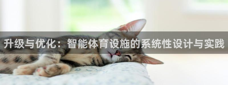 意昂体育4招商电话是多少啊：升级与优化：智能体育设施的系统性