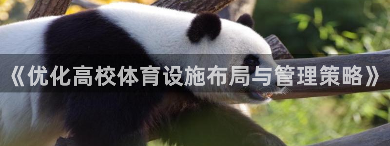 意昂体育4平台是正规平台吗：《优化高校体育设施布局与管理策略