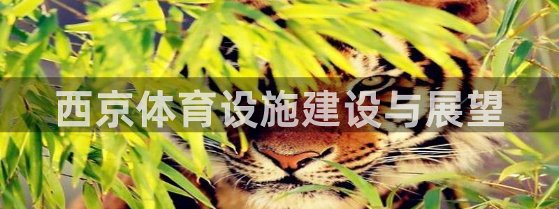 意昂体育4招商电话号码是多少啊：西京体育设施建设与展望