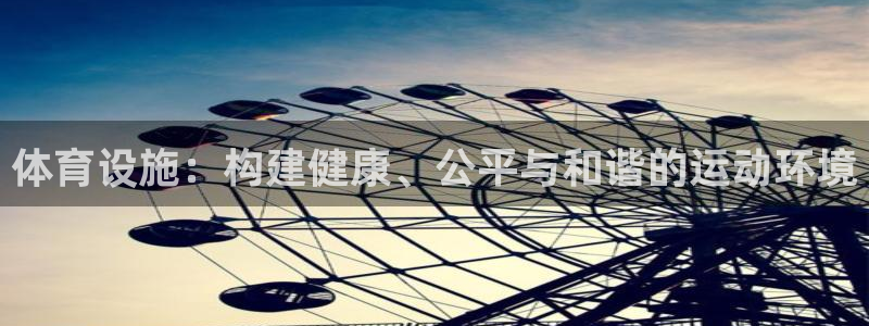 意昂4娱乐平台：体育设施：构建健康、公平与和谐的运动环境