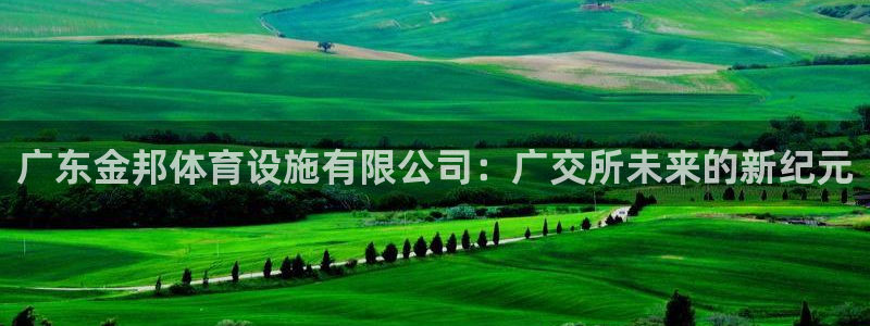 意昂4神州：广东金邦体育设施有限公司：广交所未来的新纪元