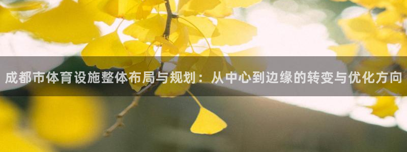 意昂体育4招商电话是多少：成都市体育设施整体布局与规划：从中